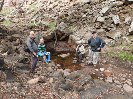 One of the water pools along Jacks Creek swarming with Tadpoles