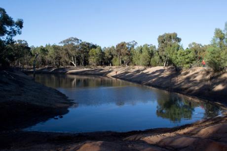 Dam at Rankins Springs - Dionee Russell