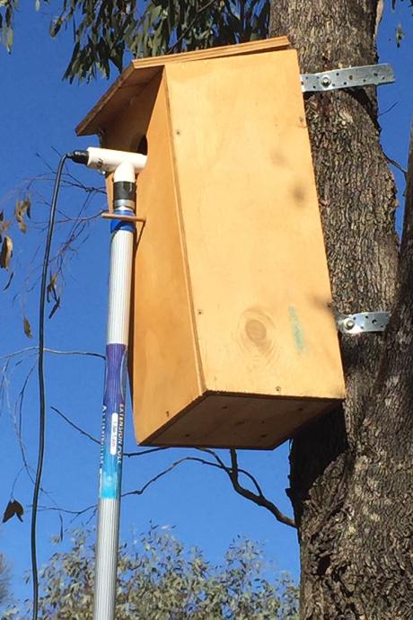 Camera in Parrot Box