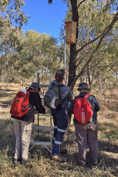 Group taking photos nesting box