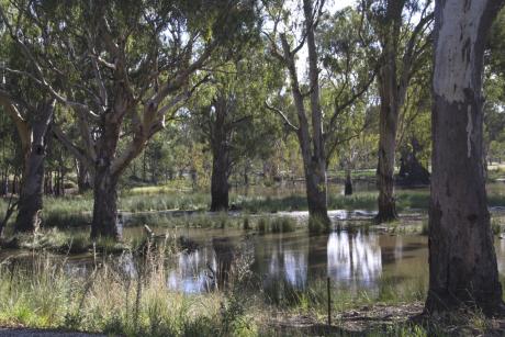 Sandigo River Road_Rowena Whiting